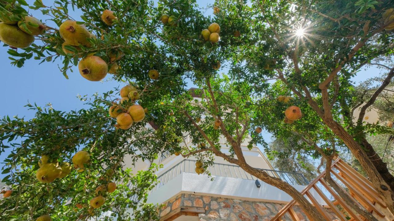 Sea Mist Suites Kas Bagian luar foto